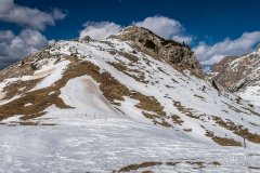 IMG_8411