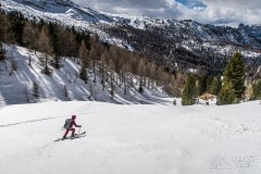 IMG_8417
