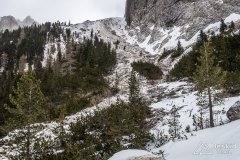 IMG_8434