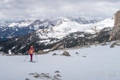 IMG_8441