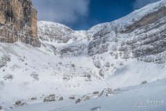 IMG_8447