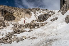IMG_8528