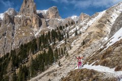 IMG_8533