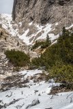 IMG_8535