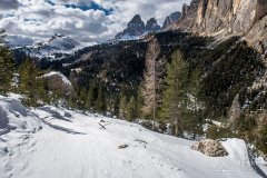 IMG_8536