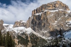 IMG_8542