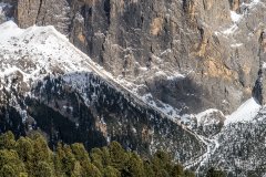 IMG_8544