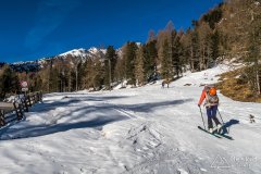 IMG_8546