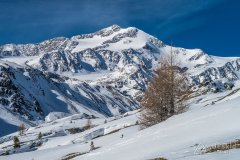 IMG_8550