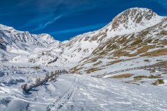 IMG_8552