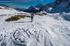 IMG_8553