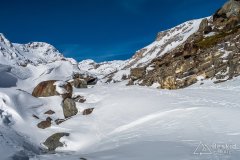 IMG_8554