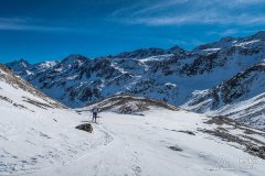 IMG_8555