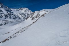 IMG_8558