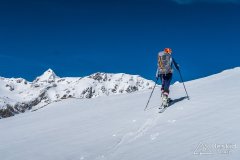 IMG_8560
