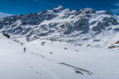 IMG_8564