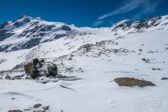 IMG_8568