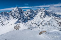 IMG_8594