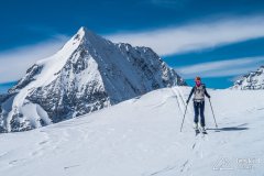 IMG_8598