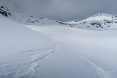IMG_8618