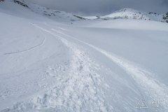 IMG_8624
