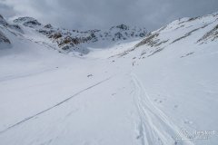 IMG_8629