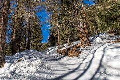 IMG_8636