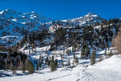 IMG_8637
