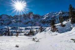 IMG_8638