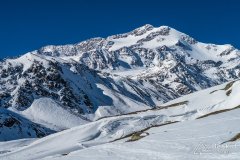 IMG_8639