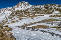 IMG_8641