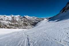 IMG_8648
