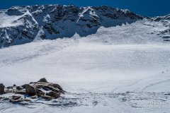 IMG_8664