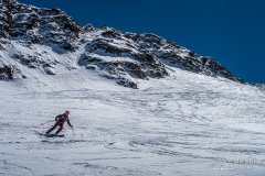 IMG_8687