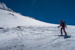 IMG_8693