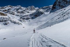 IMG_8704