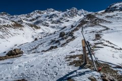 IMG_8708