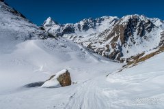IMG_8709
