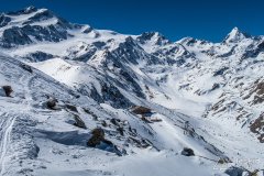 IMG_8710