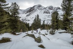 IMG_8722