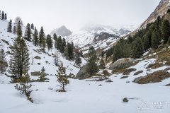 IMG_8723