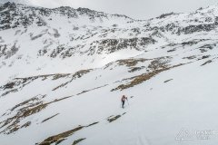 IMG_8729