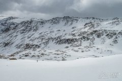 IMG_8731