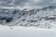 IMG_8732