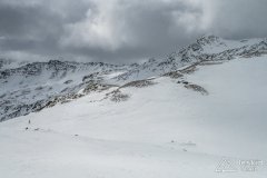IMG_8733