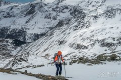 IMG_8741