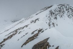 IMG_8761