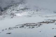 IMG_8762