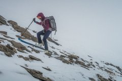 IMG_8767