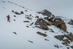 IMG_8774
